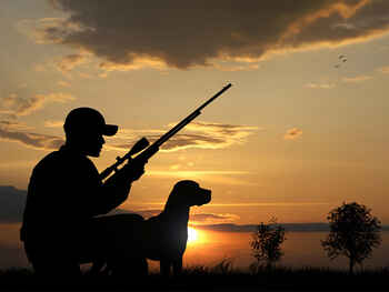 204 ruger